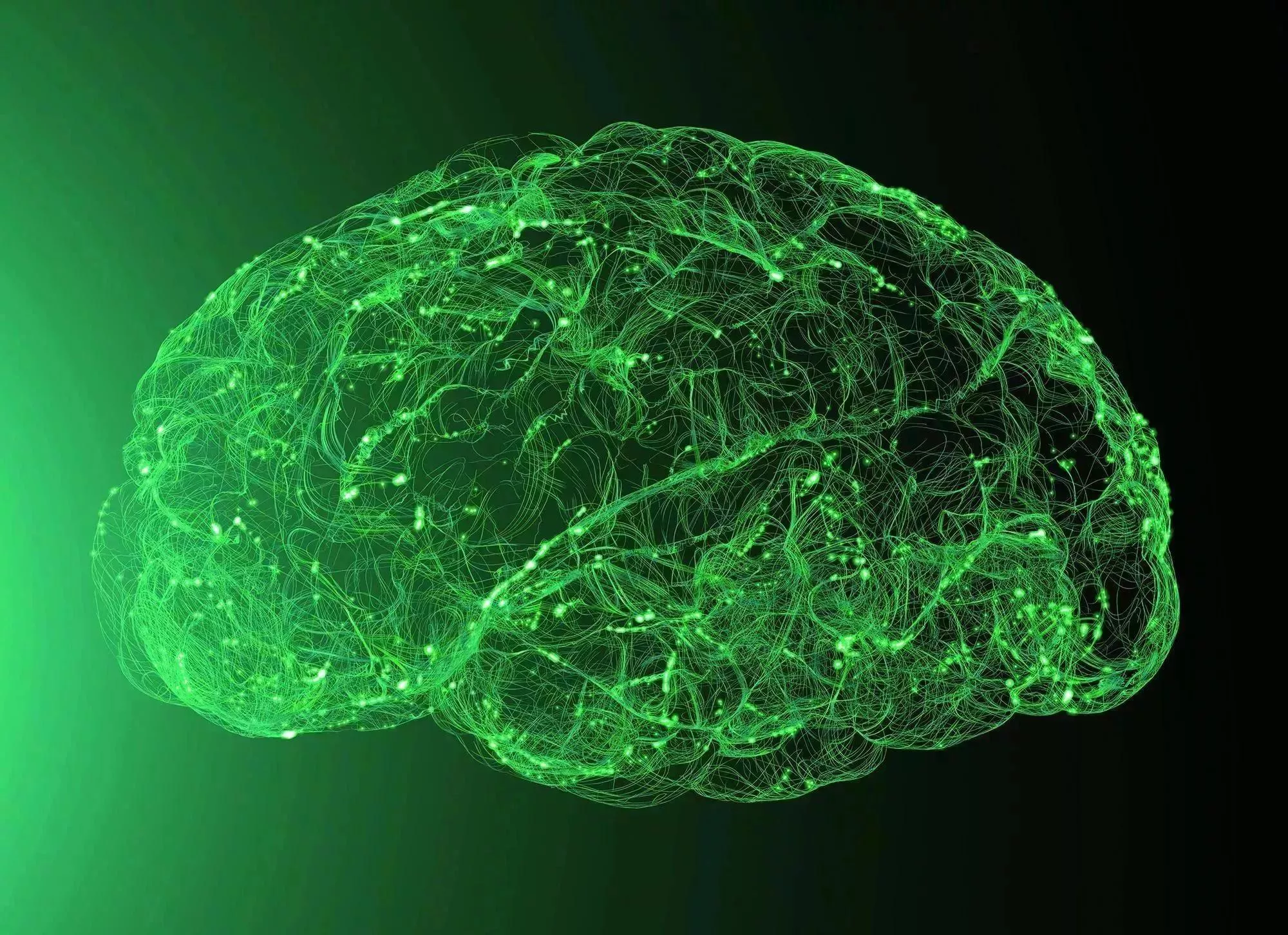 ein computergeneriertes Bild eines grünen Gehirns.
