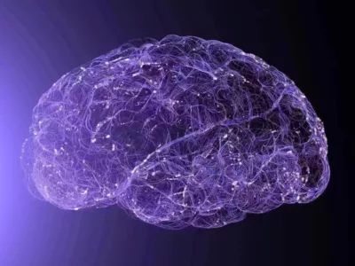 ein computergeneriertes Bild eines menschlichen Gehirns.