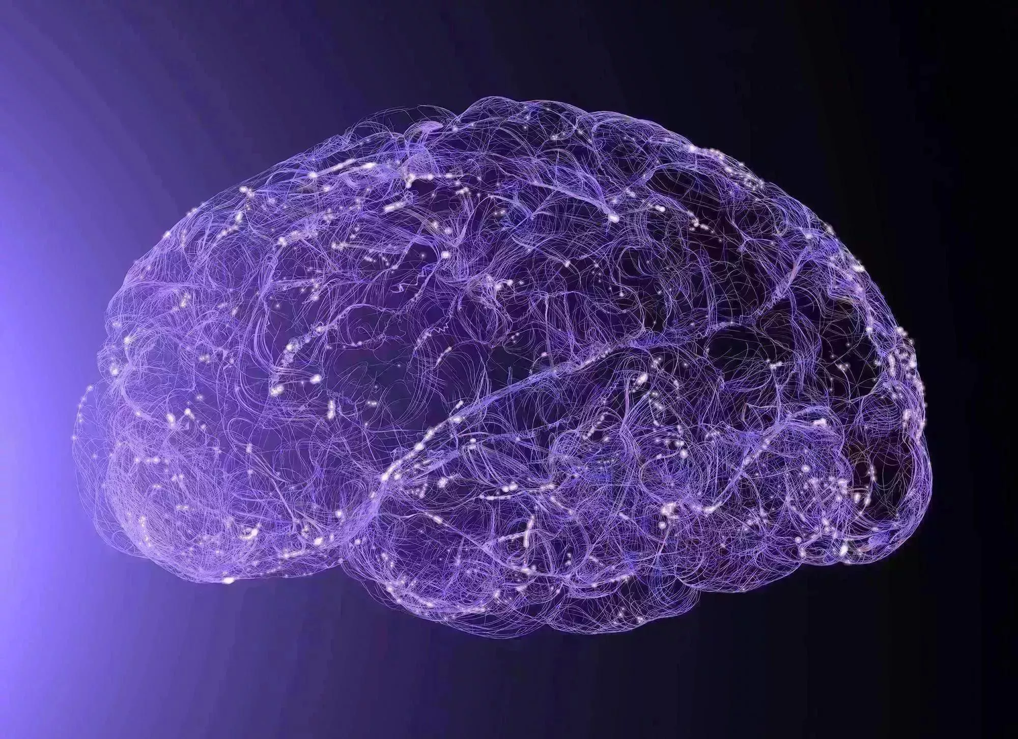 ein computergeneriertes Bild eines menschlichen Gehirns.