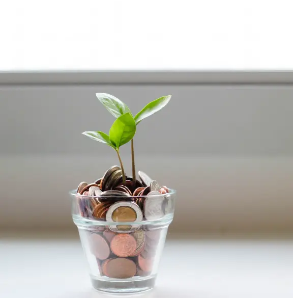 Eine Pflanze und Münzen in einer Glasschale.