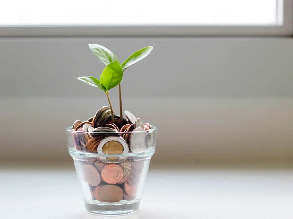 ein Glasbecher gefüllt mit Münzen und einer Pflanze.