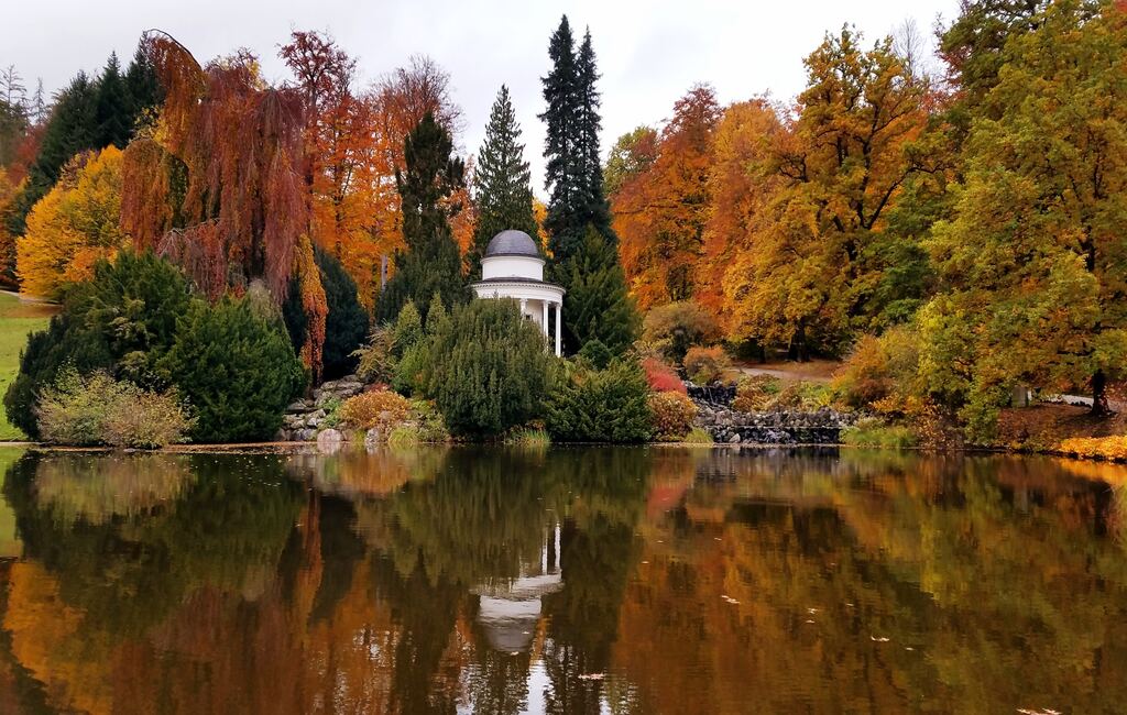 ein Pavillon mitten in einem See, umgeben von Bäumen.