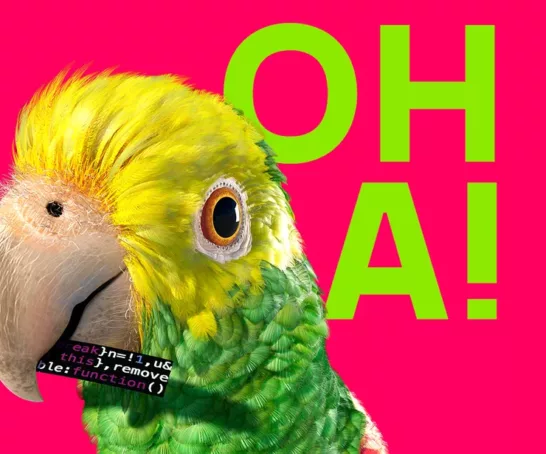 3. Wissenschaftsfestival Stuttgart offizielles log: Ein Papagei mi Code-Schnipsel im Schnabel