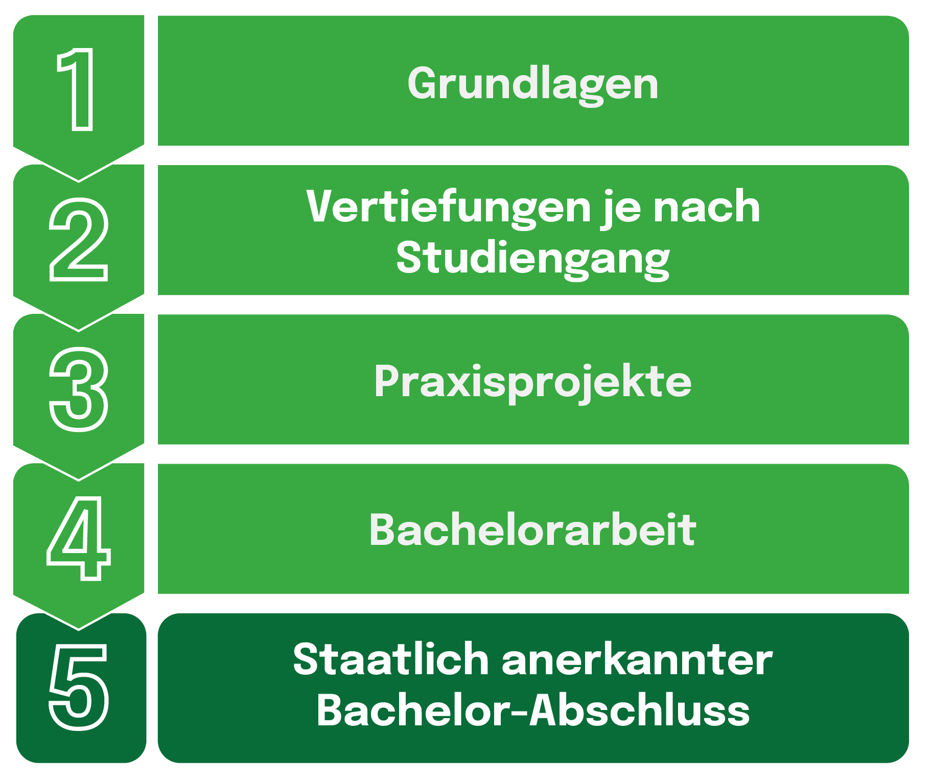 Infografik: 5 Schritte des Bachelorstudiums - Grundlagen, Vertiefungen, Praxisprojekte, Bachelorarbeit, Abschluss