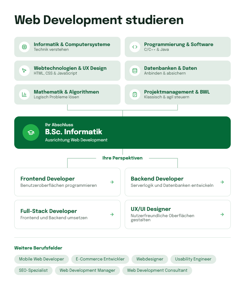 Infografik zum Web-Development-Studium mit Schwerpunkten auf Programmierung, Webtechnologien, Datenbanken und Berufsperspektiven als Frontend-, Backend- oder Full-Stack-Developer
